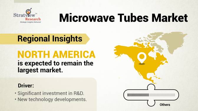 Regional Insights